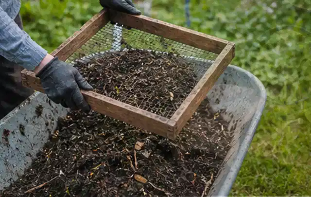 Behandschuhte Hände sieben reifen Kompost über einer Gartenschubkarre; Thema Hochbeet aus Stein, Schwerpunkt Gärten mit kleiner Fläche; Ausgangslage.