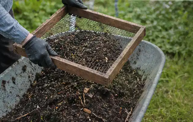 Behandschuhte Hände sieben reifen Kompost über einer Gartenschubkarre; Thema Hochbeet aus Stein, Schwerpunkt Gestaltung; Praxisalltag.