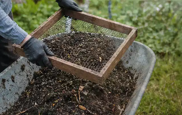 Behandschuhte Hände sieben reifen Kompost über einer Gartenschubkarre; Thema Hochbeet aus Stein, Schwerpunkt Hochbeete; Ausgangslage.