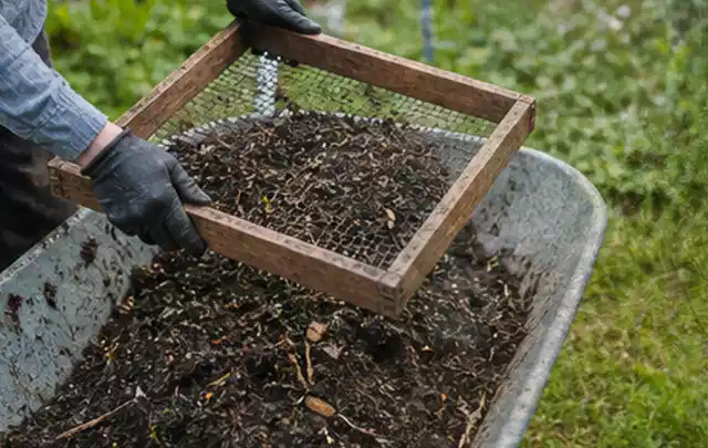 Behandschuhte Hände sieben reifen Kompost über einer Gartenschubkarre; Thema Hochbeet aus Stein, Schwerpunkt Kosten; Umsetzung.