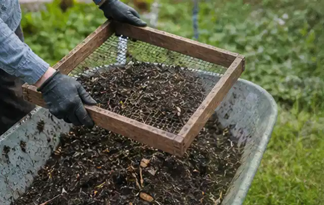 Behandschuhte Hände sieben reifen Kompost über einer Gartenschubkarre; Thema Hochbeet aus Stein, Schwerpunkt Planung; Ausgangslage.