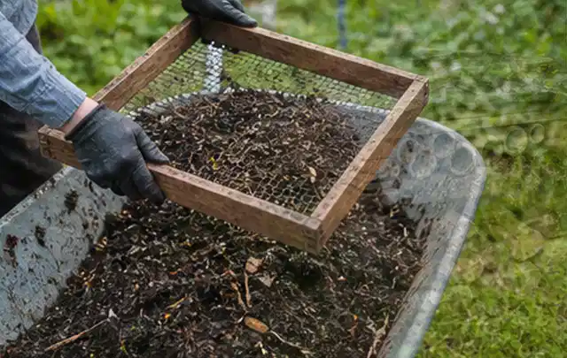 Behandschuhte Hände sieben reifen Kompost über einer Gartenschubkarre; Thema Hochbeet Befüllung, Schwerpunkt Checkliste; Ergebnis.