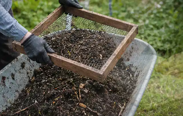 Behandschuhte Hände sieben reifen Kompost über einer Gartenschubkarre; Thema Hochbeet Befüllung, Schwerpunkt Nachhaltigkeit; Ergebnis.