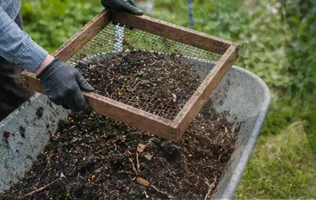 Behandschuhte Hände sieben reifen Kompost über einer Gartenschubkarre; Thema Hochbeet Bewässerung, Schwerpunkt Hochbeete; Ergebnis.