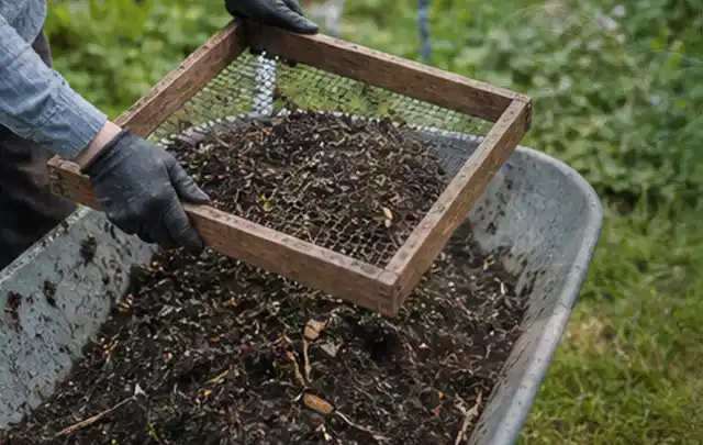 Behandschuhte Hände sieben reifen Kompost über einer Gartenschubkarre; Thema Hochbeet Bewässerung, Schwerpunkt Kosten; Ausgangslage.