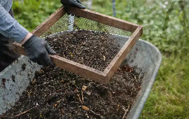 Behandschuhte Hände sieben reifen Kompost über einer Gartenschubkarre; Thema Hochbeet Bewässerung, Schwerpunkt Nachhaltigkeit; Umsetzung.