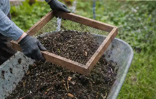 Behandschuhte Hände sieben reifen Kompost über einer Gartenschubkarre; Thema Hochbeet für den Balkon, Schwerpunkt DIY; Praxisalltag.