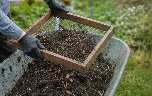 Behandschuhte Hände sieben reifen Kompost über einer Gartenschubkarre; Thema Hochbeet für den Balkon, Schwerpunkt Fundament; Praxisalltag.