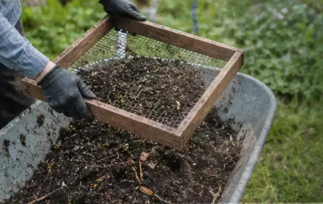 Behandschuhte Hände sieben reifen Kompost über einer Gartenschubkarre; Thema Hochbeet für den Balkon, Schwerpunkt Gärten mit kleiner Fläche; Kontrolle.