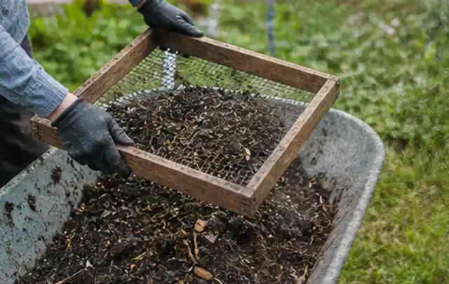 Behandschuhte Hände sieben reifen Kompost über einer Gartenschubkarre; Thema Hochbeet für den Balkon, Schwerpunkt Kosten; Praxisalltag.