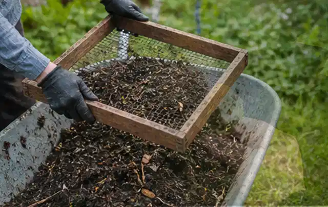 Behandschuhte Hände sieben reifen Kompost über einer Gartenschubkarre; Thema Hochbeet für den Balkon, Schwerpunkt Planung; Kontrolle.