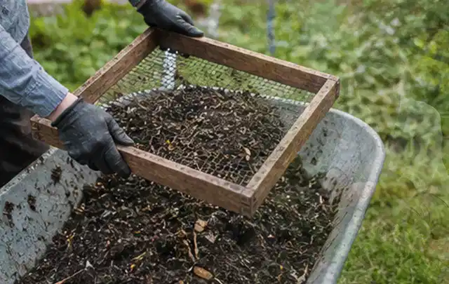 Behandschuhte Hände sieben reifen Kompost über einer Gartenschubkarre; Thema Hochbeet Pflege, Schwerpunkt Fehlerhilfe; Kontrolle.