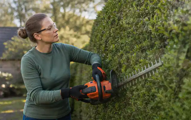 Person schneidet eine dichte Gartenhecke mit Schutzbrille und sicherem Stand; Thema Hochdruckreiniger, Schwerpunkt Anwendung; Ausgangslage.