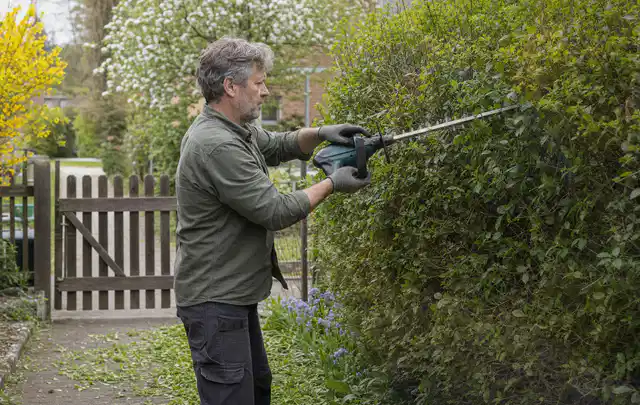 Person schneidet eine Gartenhecke mit einem motorisierten Gartengerät; Thema Hochdruckreiniger, Schwerpunkt Anwendung; Kontrolle.