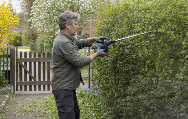 Person schneidet eine Gartenhecke mit einem motorisierten Gartengerät; Thema Hochdruckreiniger, Schwerpunkt Bestenliste; Ergebnis.
