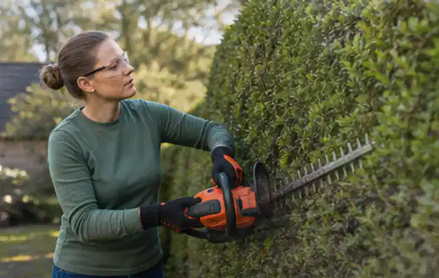 Person schneidet eine dichte Gartenhecke mit Schutzbrille und sicherem Stand; Thema Hochdruckreiniger, Schwerpunkt Checkliste; Ausgangslage.
