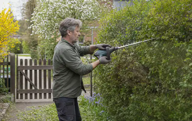 Person schneidet eine Gartenhecke mit einem motorisierten Gartengerät; Thema Hochdruckreiniger, Schwerpunkt Dimensionierung; Ergebnis.