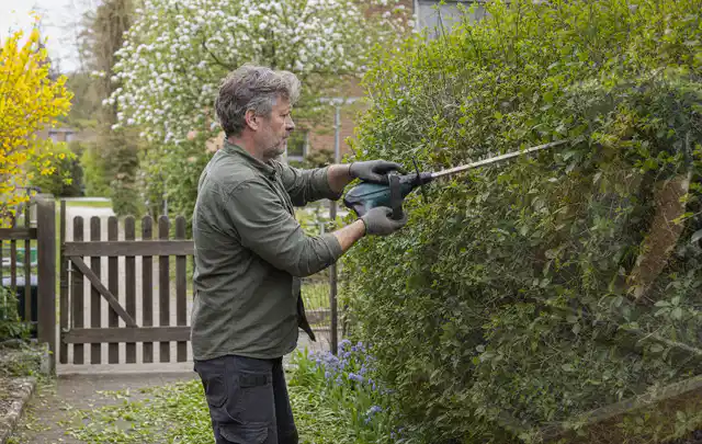 Person schneidet eine Gartenhecke mit einem motorisierten Gartengerät; Thema Hochdruckreiniger, Schwerpunkt Fehlerhilfe; Ausgangslage.