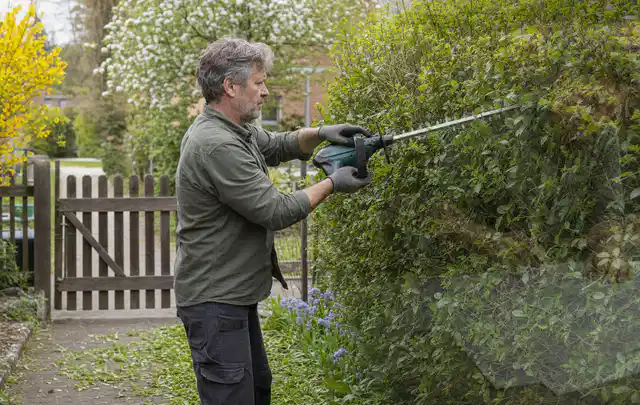 Person schneidet eine Gartenhecke mit einem motorisierten Gartengerät; Thema Hochdruckreiniger, Schwerpunkt Gärten mit großer Fläche; Umsetzung.