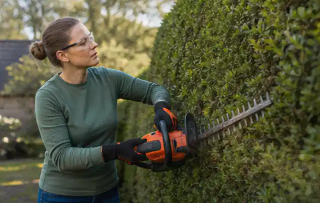 Person schneidet eine dichte Gartenhecke mit Schutzbrille und sicherem Stand; Thema Hochdruckreiniger, Schwerpunkt Gärten mit großer Fläche; Ergebnis.