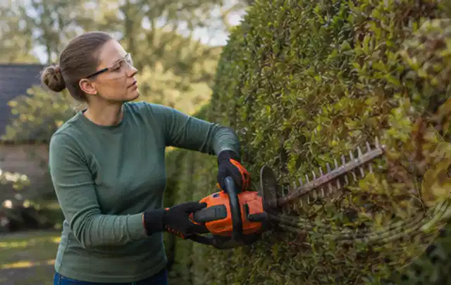 Person schneidet eine dichte Gartenhecke mit Schutzbrille und sicherem Stand; Thema Hochdruckreiniger, Schwerpunkt Gärten mit kleiner Fläche; Ausgangslage.