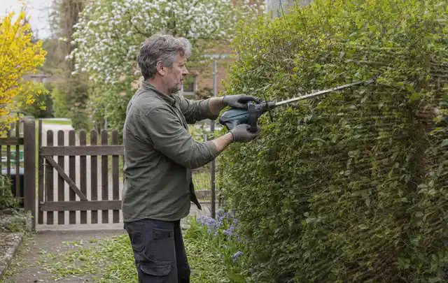 Person schneidet eine Gartenhecke mit einem motorisierten Gartengerät; Thema Hochdruckreiniger, Schwerpunkt Gärten mit kleiner Fläche; Praxisalltag.