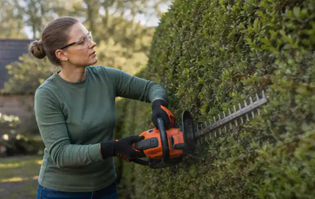 Person schneidet eine dichte Gartenhecke mit Schutzbrille und sicherem Stand; Thema Hochdruckreiniger, Schwerpunkt Kaufberatung; Ausgangslage.