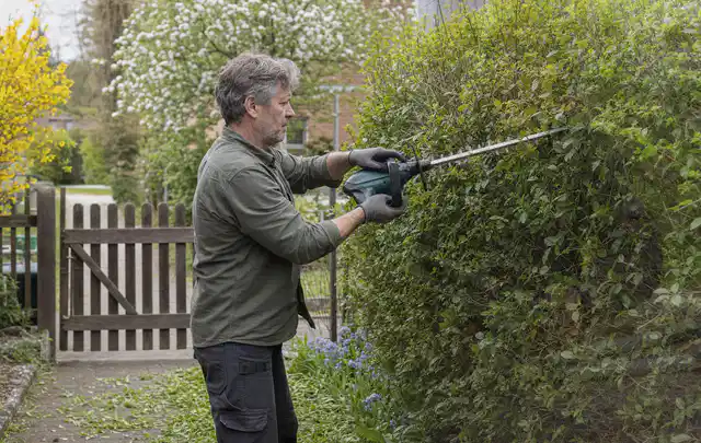 Person schneidet eine Gartenhecke mit einem motorisierten Gartengerät; Thema Hochdruckreiniger, Schwerpunkt Kaufberatung; Praxisalltag.