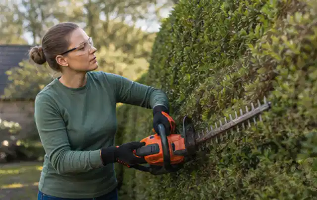 Person schneidet eine dichte Gartenhecke mit Schutzbrille und sicherem Stand; Thema Hochdruckreiniger, Schwerpunkt Kosten; Ausgangslage.