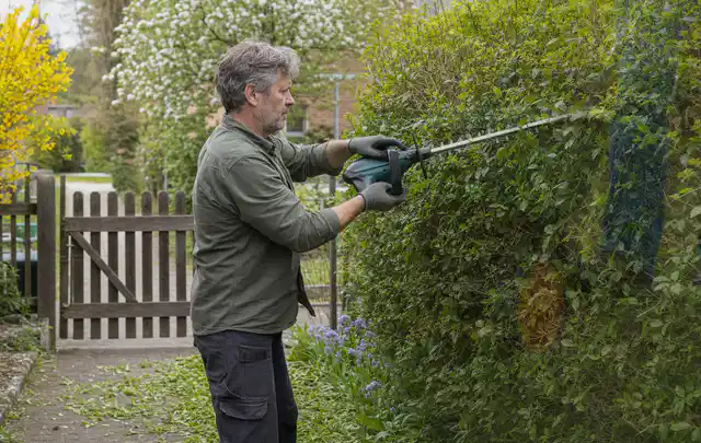 Person schneidet eine Gartenhecke mit einem motorisierten Gartengerät; Thema Hochdruckreiniger, Schwerpunkt Kosten; Ergebnis.