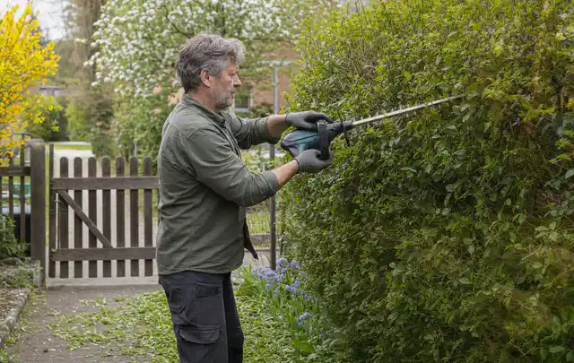 Person schneidet eine Gartenhecke mit einem motorisierten Gartengerät; Thema Hochdruckreiniger, Schwerpunkt Leistung; Kontrolle.