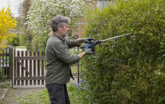 Person schneidet eine Gartenhecke mit einem motorisierten Gartengerät; Thema Hochdruckreiniger, Schwerpunkt Nachhaltigkeit; Umsetzung.