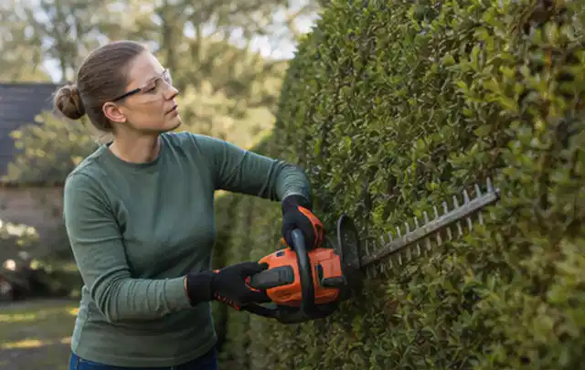 Person schneidet eine dichte Gartenhecke mit Schutzbrille und sicherem Stand; Thema Hochdruckreiniger, Schwerpunkt Reparatur; Ausgangslage.