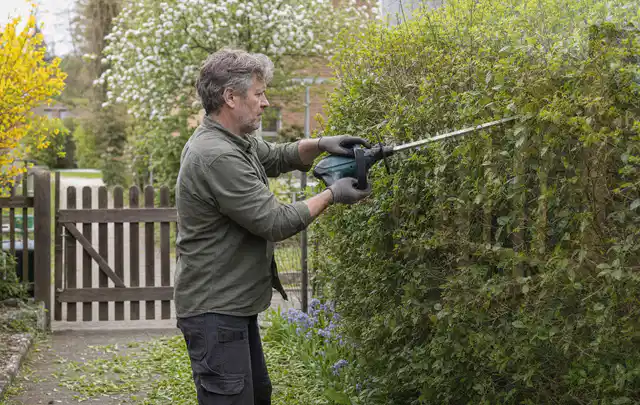 Person schneidet eine Gartenhecke mit einem motorisierten Gartengerät; Thema Hochdruckreiniger, Schwerpunkt Reparatur; Umsetzung.