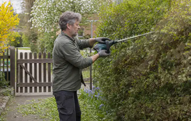 Person schneidet eine Gartenhecke mit einem motorisierten Gartengerät; Thema Hochdruckreiniger, Schwerpunkt Systemvergleich; Kontrolle.