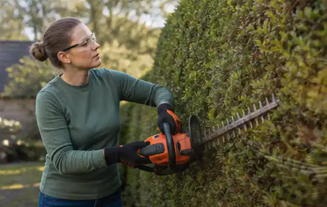 Person schneidet eine dichte Gartenhecke mit Schutzbrille und sicherem Stand; Thema Hochdruckreiniger, Schwerpunkt Testkriterien; Ausgangslage.