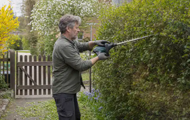 Person schneidet eine Gartenhecke mit einem motorisierten Gartengerät; Thema Hochdruckreiniger, Schwerpunkt Testkriterien; Ergebnis.