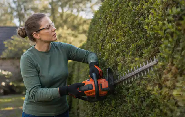 Person schneidet eine dichte Gartenhecke mit Schutzbrille und sicherem Stand; Thema Hochdruckreiniger, Schwerpunkt Vergleich; Ausgangslage.