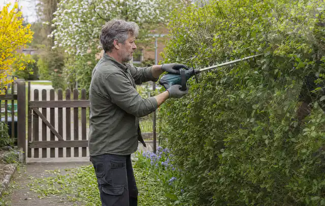 Person schneidet eine Gartenhecke mit einem motorisierten Gartengerät; Thema Hochdruckreiniger, Schwerpunkt Vergleich; Kontrolle.