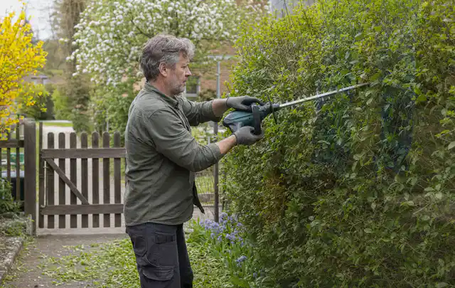 Person schneidet eine Gartenhecke mit einem motorisierten Gartengerät; Thema Hochdruckreiniger, Schwerpunkt Wartung; Praxisalltag.