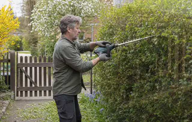Person schneidet eine Gartenhecke mit einem motorisierten Gartengerät; Thema Hochdruckreiniger, Schwerpunkt Winterlager; Umsetzung.