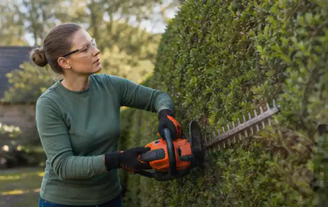 Person schneidet eine dichte Gartenhecke mit Schutzbrille und sicherem Stand; Thema Hochdruckreiniger, Schwerpunkt Winterlager; Kontrolle.