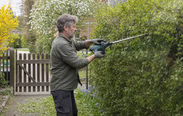 Person schneidet eine Gartenhecke mit einem motorisierten Gartengerät; Thema Holzhäcksler, Schwerpunkt Anwendung; Ausgangslage.