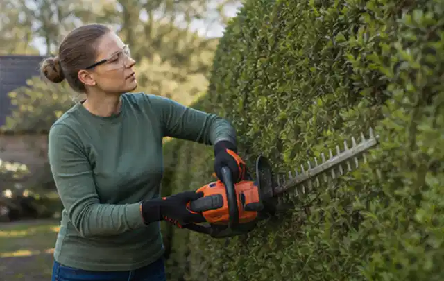 Person schneidet eine dichte Gartenhecke mit Schutzbrille und sicherem Stand; Thema Holzhäcksler, Schwerpunkt Anwendung; Praxisalltag.