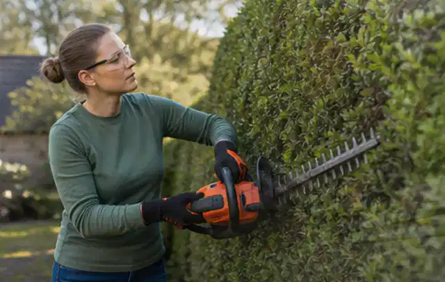 Person schneidet eine dichte Gartenhecke mit Schutzbrille und sicherem Stand; Thema Holzhäcksler, Schwerpunkt Bestenliste; Umsetzung.