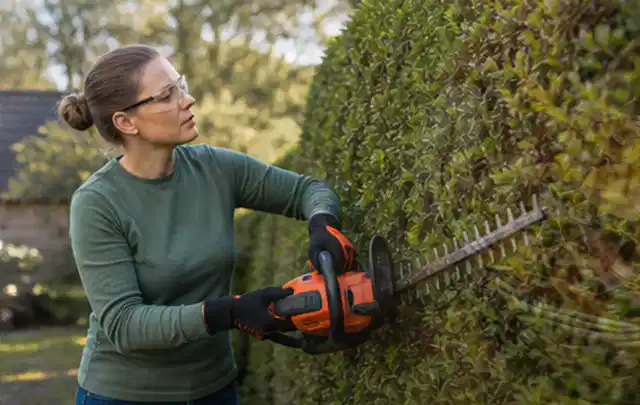 Person schneidet eine dichte Gartenhecke mit Schutzbrille und sicherem Stand; Thema Holzhäcksler, Schwerpunkt Checkliste; Umsetzung.