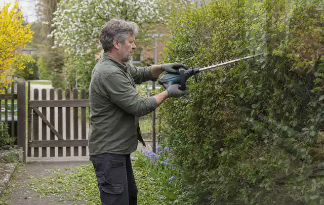 Person schneidet eine Gartenhecke mit einem motorisierten Gartengerät; Thema Holzhäcksler, Schwerpunkt Checkliste; Kontrolle.