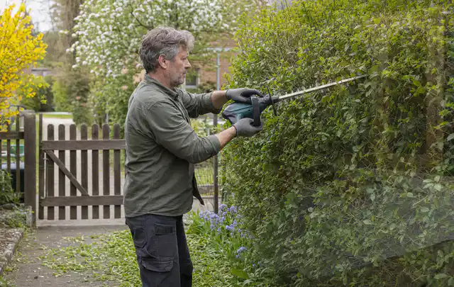 Person schneidet eine Gartenhecke mit einem motorisierten Gartengerät; Thema Holzhäcksler, Schwerpunkt Fehlerhilfe; Praxisalltag.