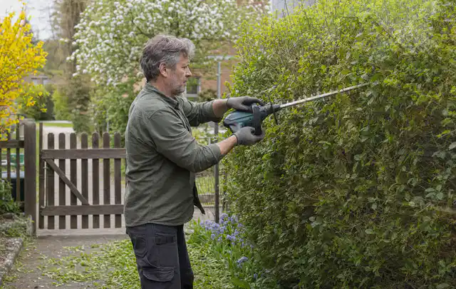 Person schneidet eine Gartenhecke mit einem motorisierten Gartengerät; Thema Holzhäcksler, Schwerpunkt Gärten mit großer Fläche; Kontrolle.