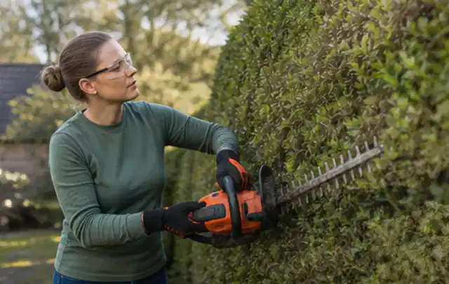Person schneidet eine dichte Gartenhecke mit Schutzbrille und sicherem Stand; Thema Holzhäcksler, Schwerpunkt Gärten mit großer Fläche; Praxisalltag.
